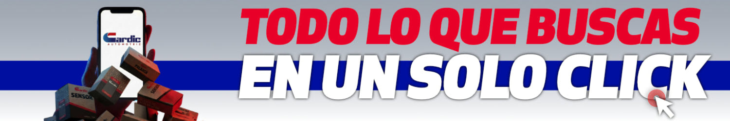 Todo lo que buscas, en un solo clic